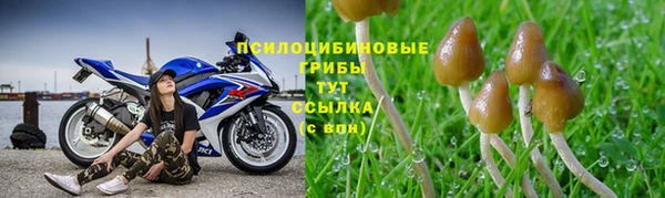 каннабис Алексеевка