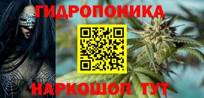 бошки Лесосибирск