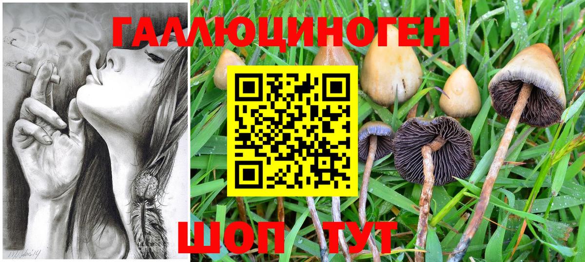 Галлюциногенные грибы мухоморы Карпинск